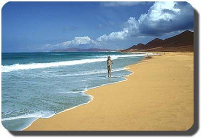 Primer art&iacute;culo